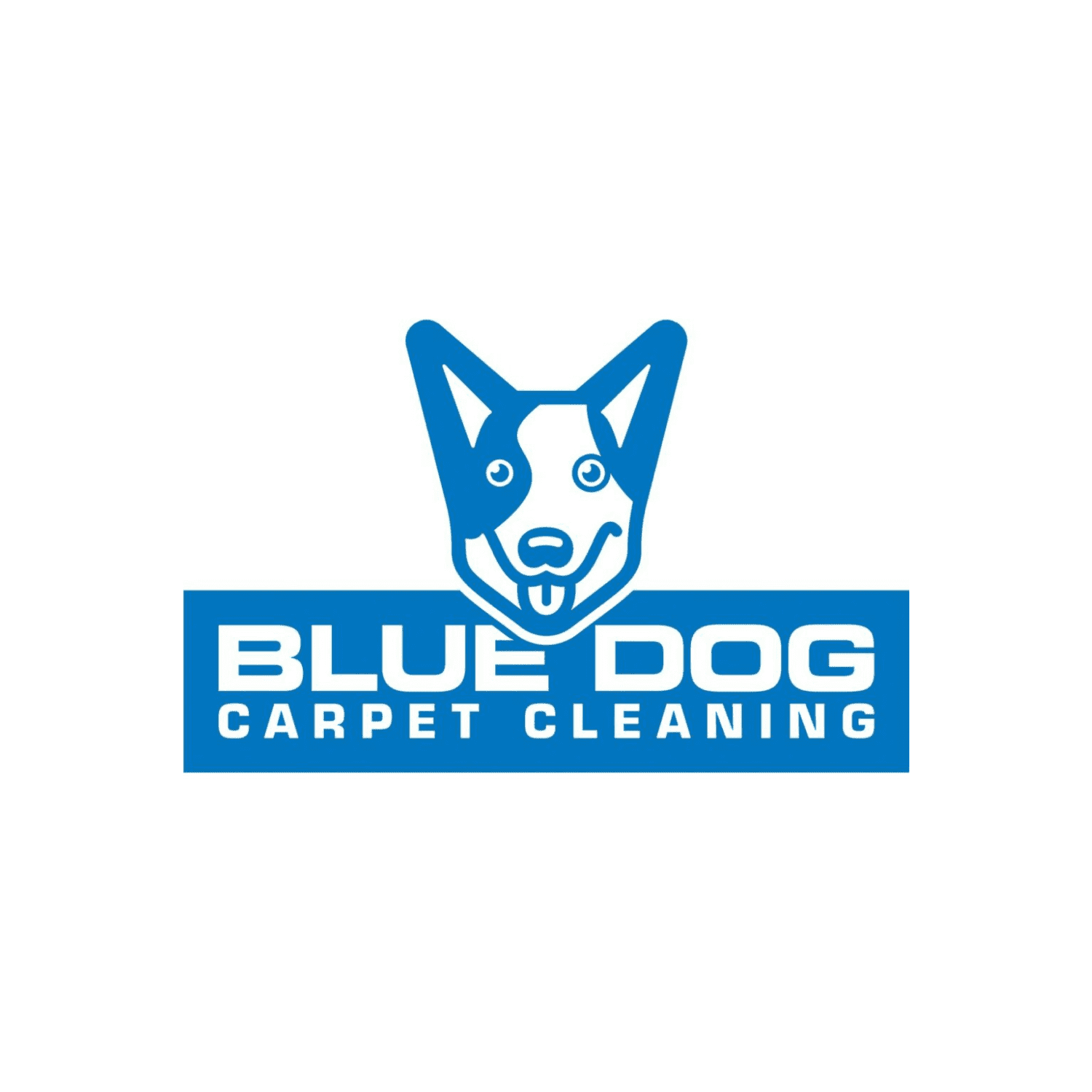 Blue Dog Carpet Cleaning